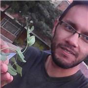 Profesor de inglés con nivel avanzado ofrece clases y/o tutorías particulares. Desde Bogotá, se atiende a niños, jóvenes y adultos en diferentes partes del país